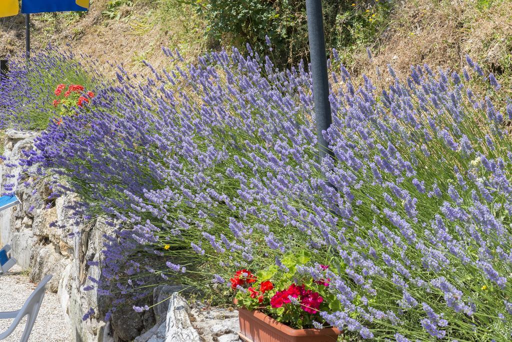 Agriturismo Monte Acuto Umbertide Eksteriør bilde