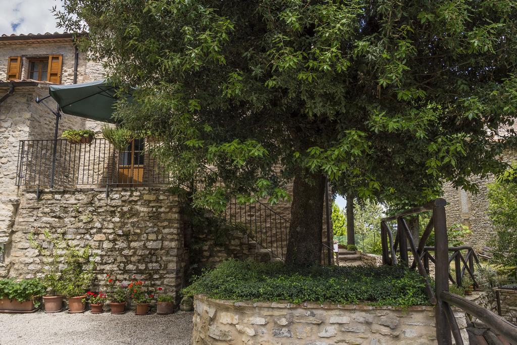 Agriturismo Monte Acuto Umbertide Rom bilde